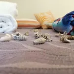 דירה Rodomelo Cute 1