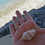 Rodomelo Cute 1 דירה