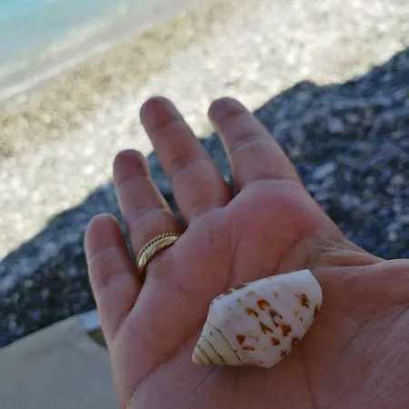 Rodomelo Cute 1 Lejlighed