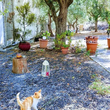 Apartament Rodomelo Cute 1 *