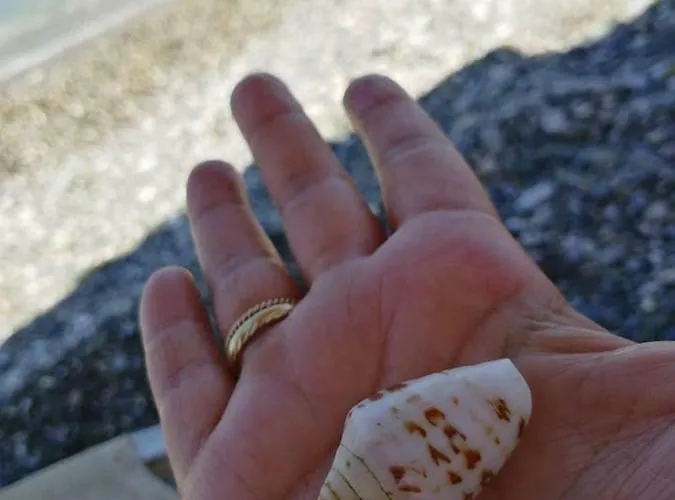 Rodomelo Cute 1 Апартаменты