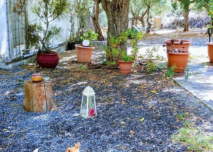 Apartamento Rodomelo Cute 1 *